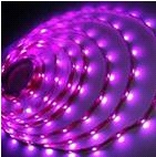 5050 30LEDs/meter high quality LED strip (RGB color and white color)